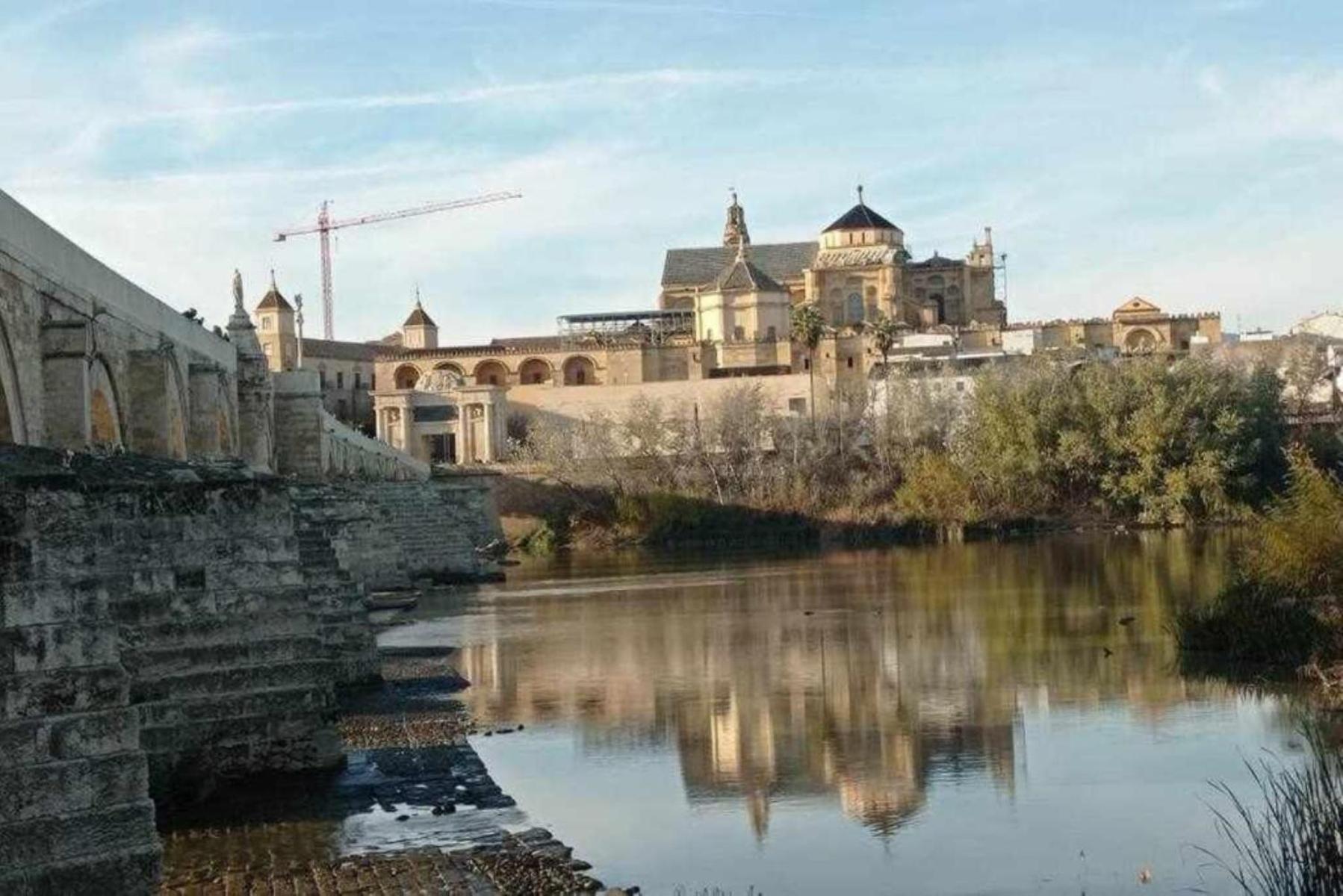 Precioso Loft El Arcangel Ii Junto A La Ribera Apartment Cordoba