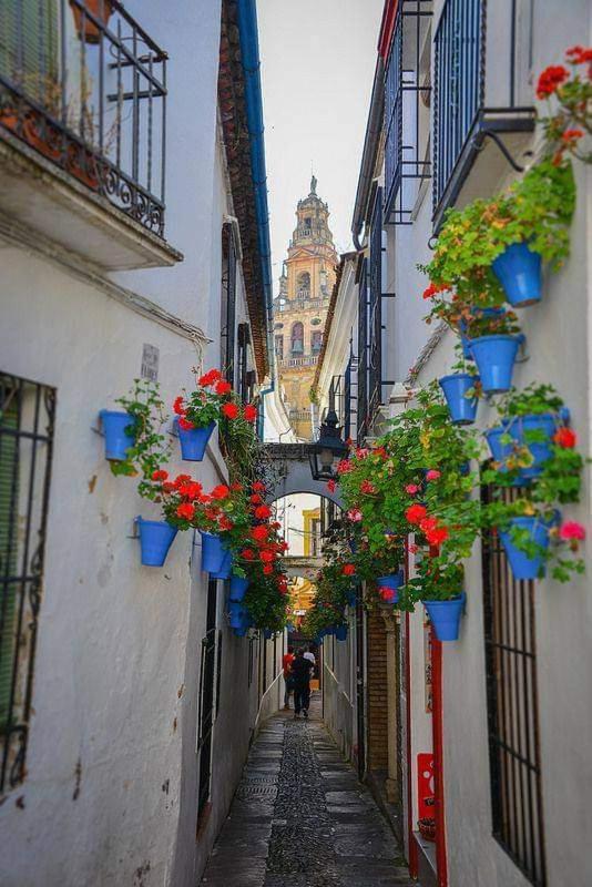 Precioso Loft El Arcangel Ii Junto A La Ribera * Cordoba